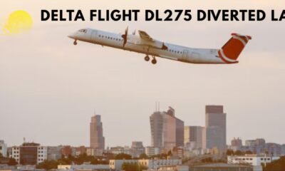 delta flight dl275 diverted lax