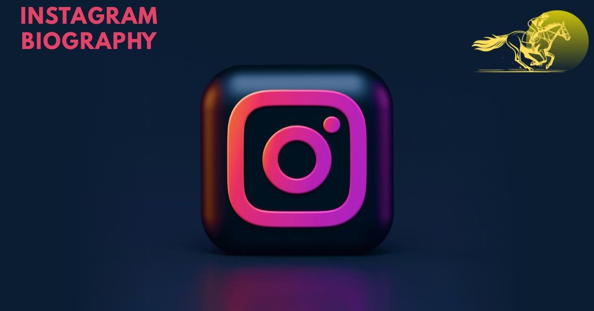 instagram biography