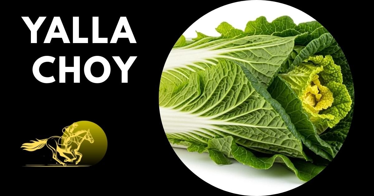 yalla choy